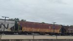 IC 799854